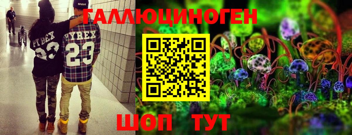 Галлюциногенные грибы GOLDEN TEACHER  Вход с VPN  Псилоцибиновые грибы Magic Shrooms  Озёры 